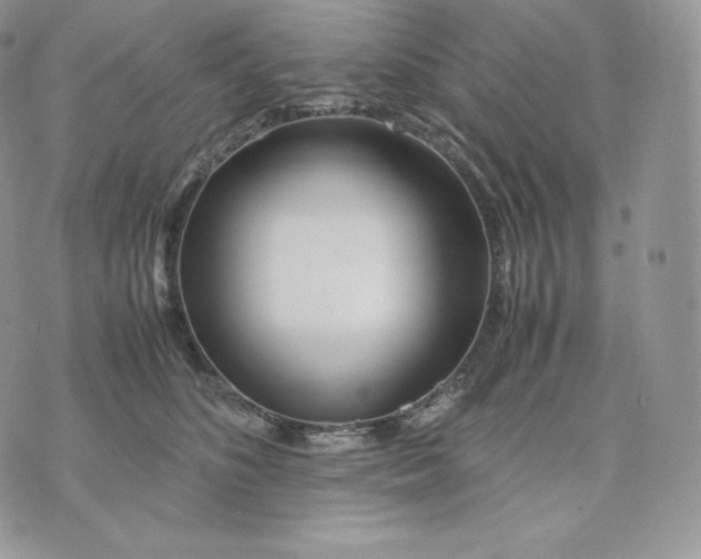 X0000075410516200609291709