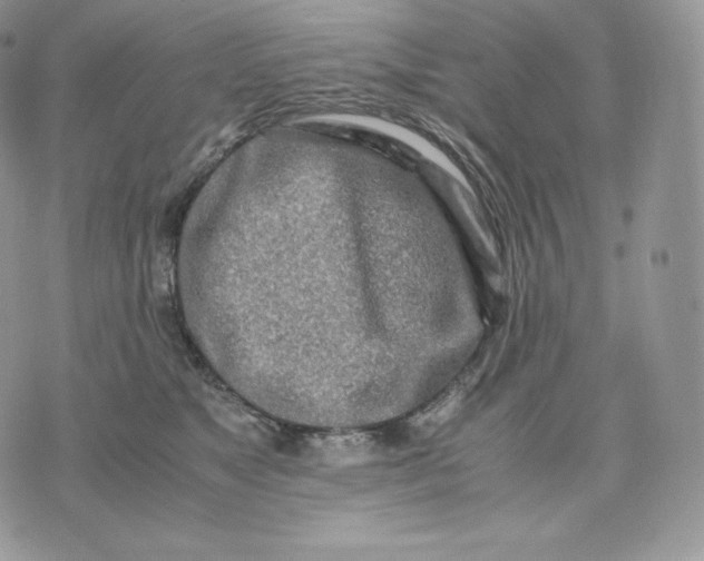 X0000075410517200609291709