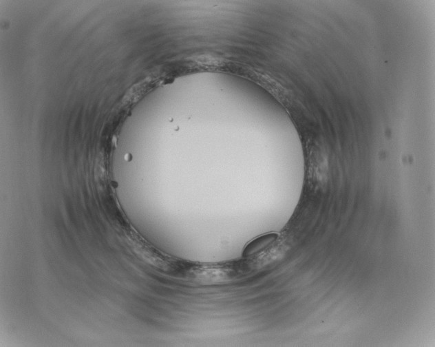 X0000075410518200609291709