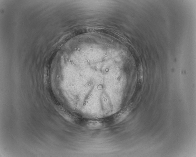 X0000075410519200609291709