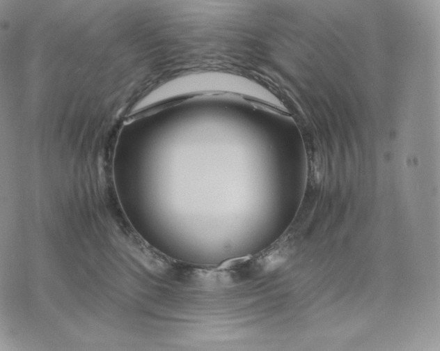 X0000075410520200609291709