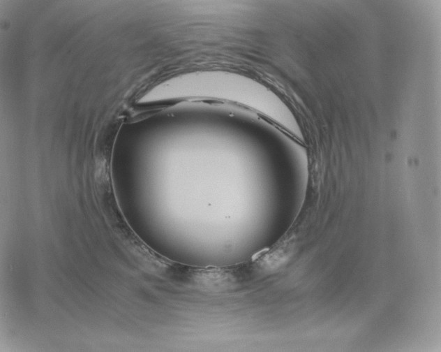 X0000075410521200609291709