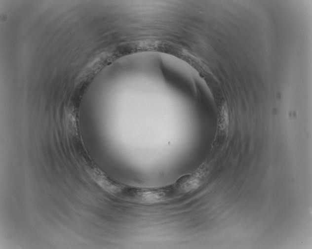 X0000075410522200609291709