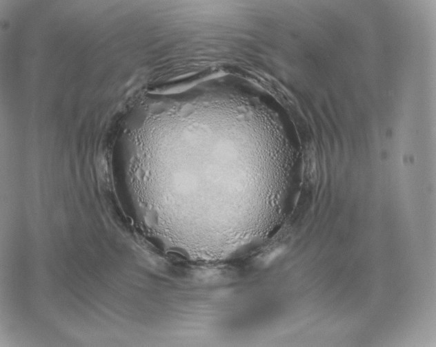 X0000075410523200609291709