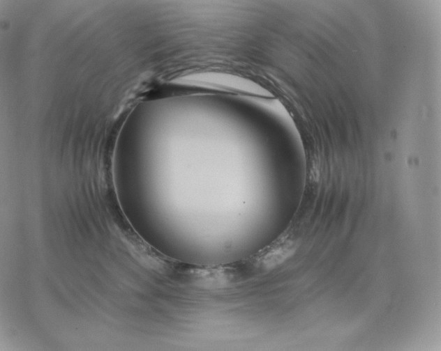 X0000075410524200609291709