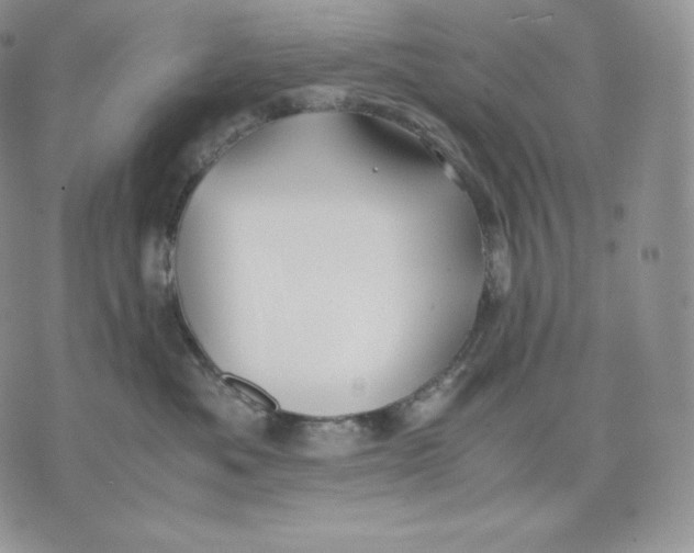 X0000075410525200609291709