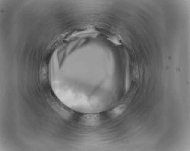 X0000075410526200609291709