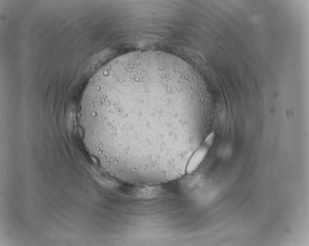 X0000075410527200609291709