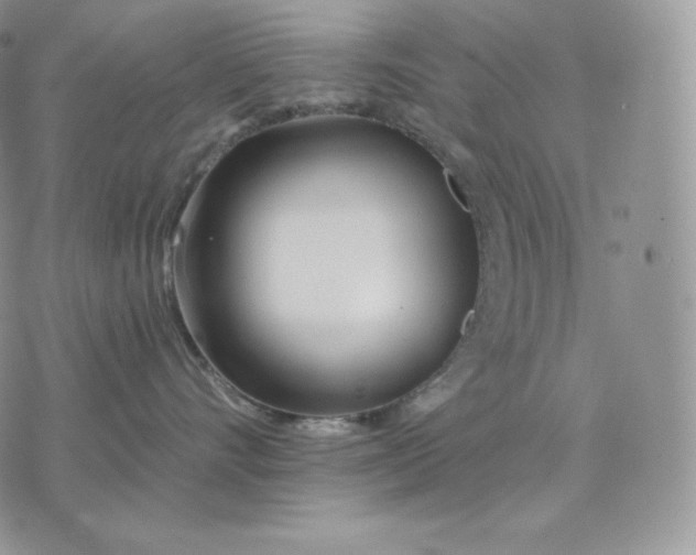 X0000075410528200609291709