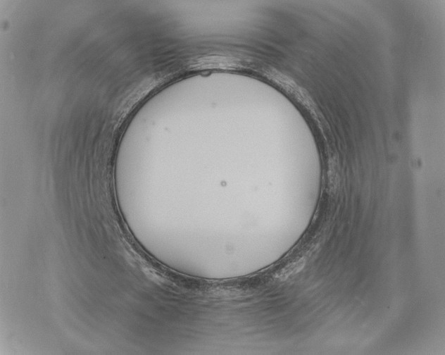 X0000075410529200609291708