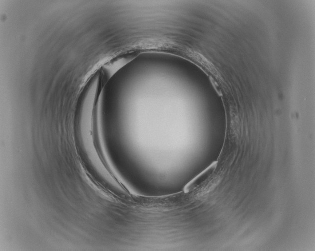 X0000075410530200609291708