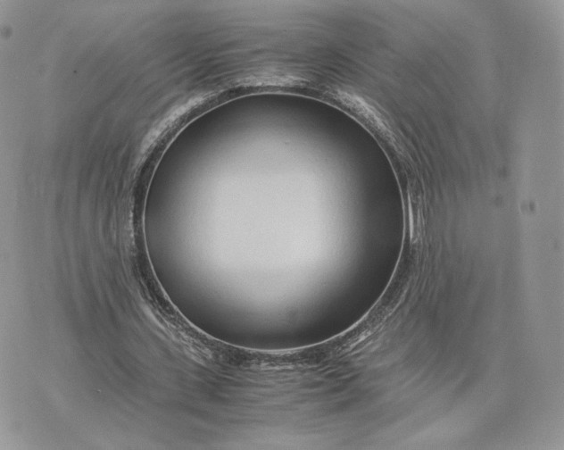 X0000075410531200609291708