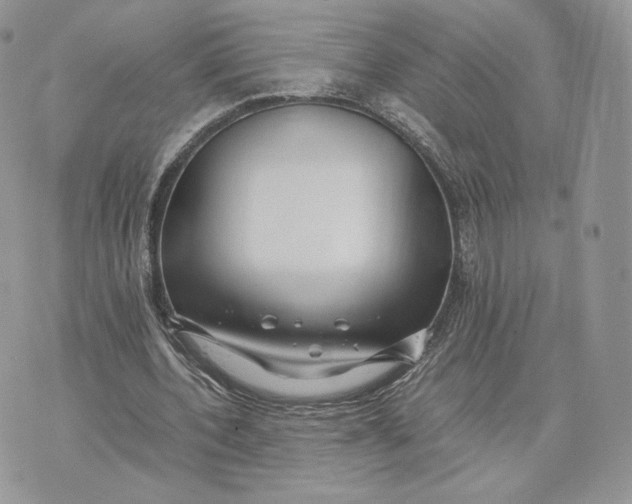 X0000075410532200609291708