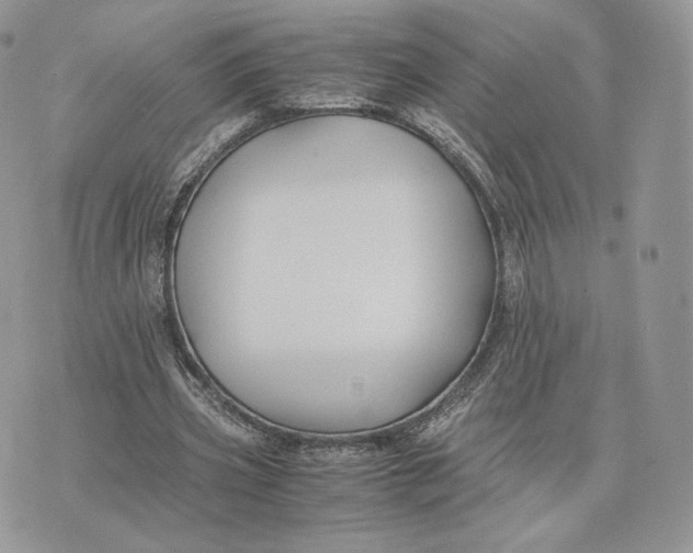 X0000075410533200609291708