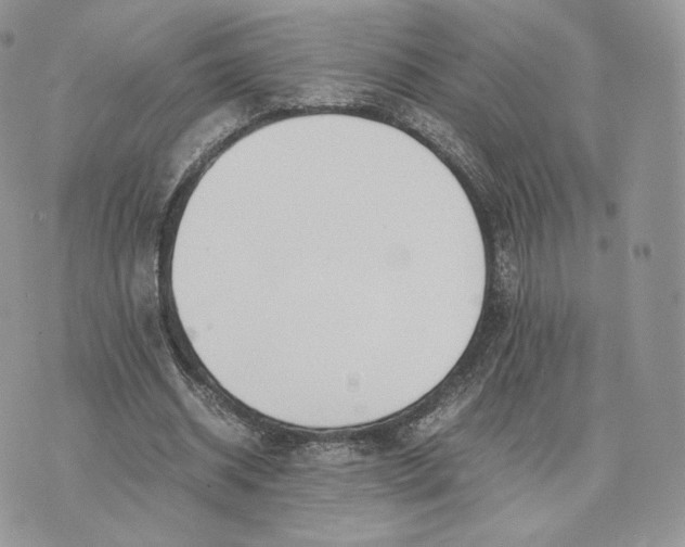 X0000075410534200609291708