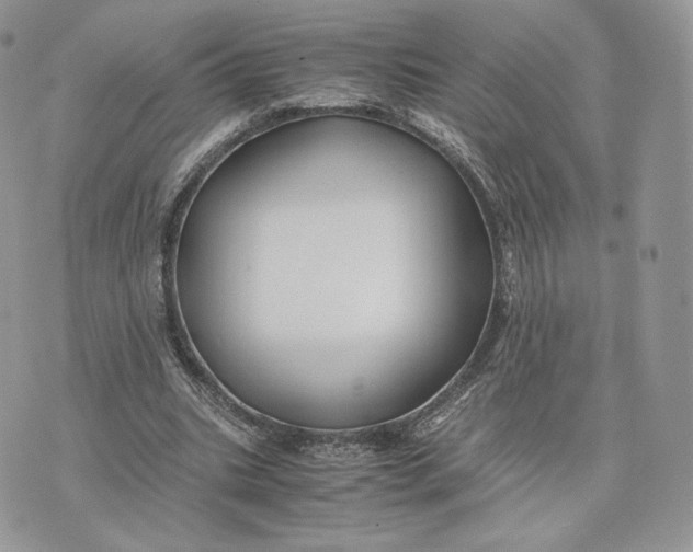 X0000075410535200609291708