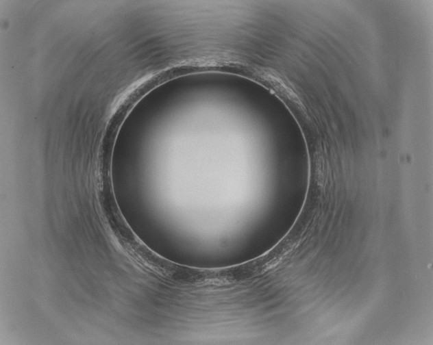 X0000075410536200609291708