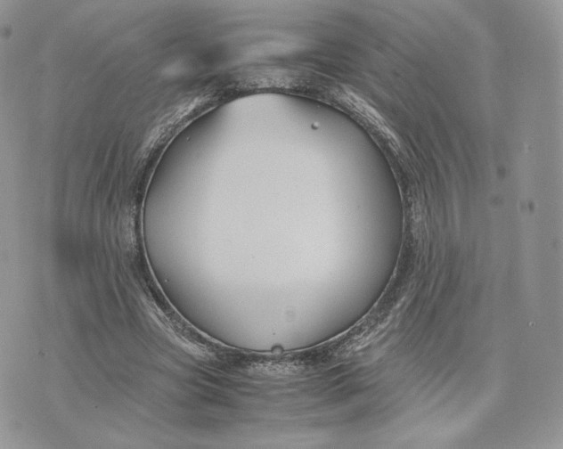 X0000075410537200609291708