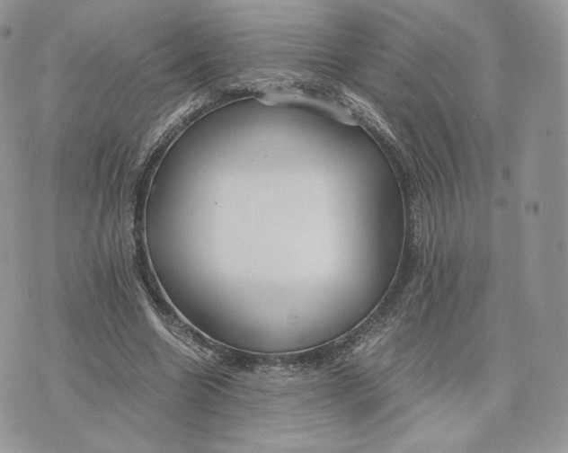 X0000075410538200609291708