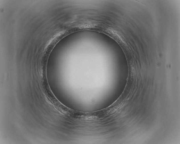 X0000075410539200609291709