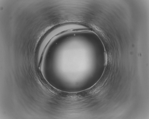 X0000075410540200609291709