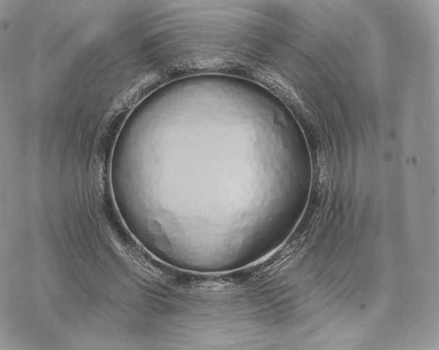 X0000075410542200609291709