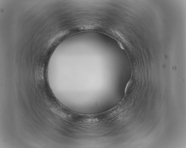 X0000075410543200609291709