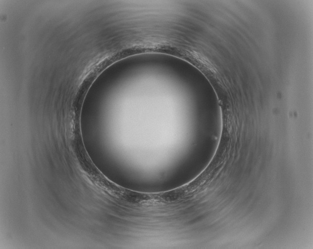 X0000075410544200609291709