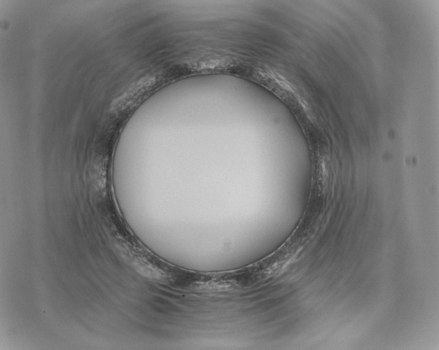 X0000075410545200609291709