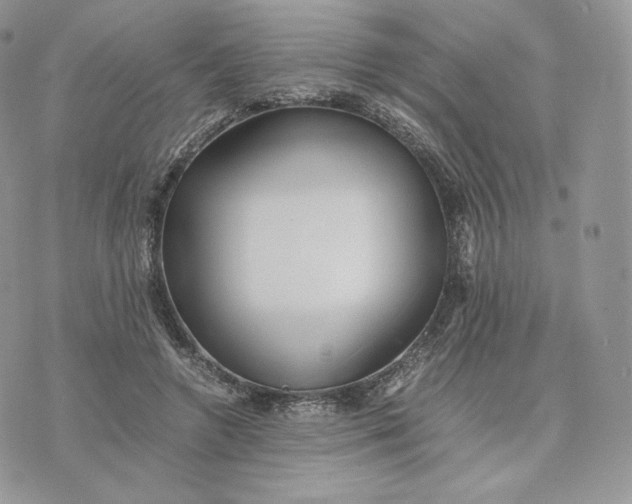 X0000075410546200609291709