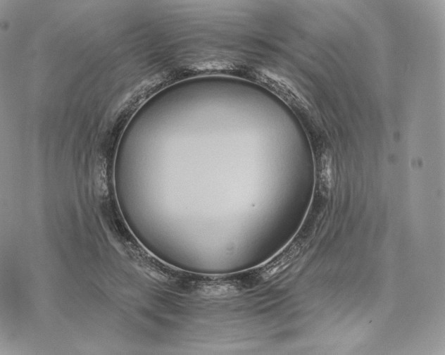 X0000075410547200609291709