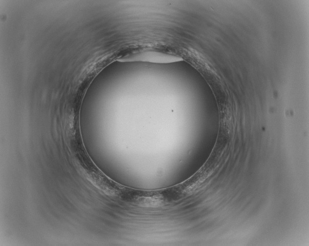 X0000075410548200609291709