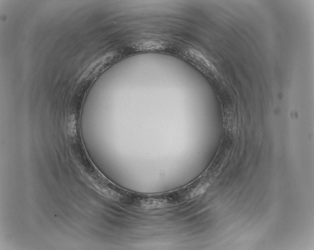 X0000075410549200609291709