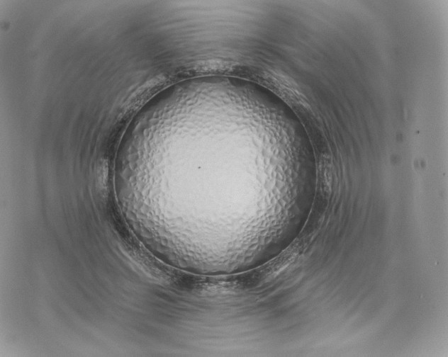 X0000075410550200609291709