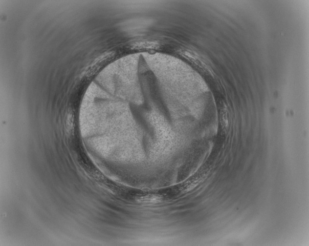 X0000075410551200609291709