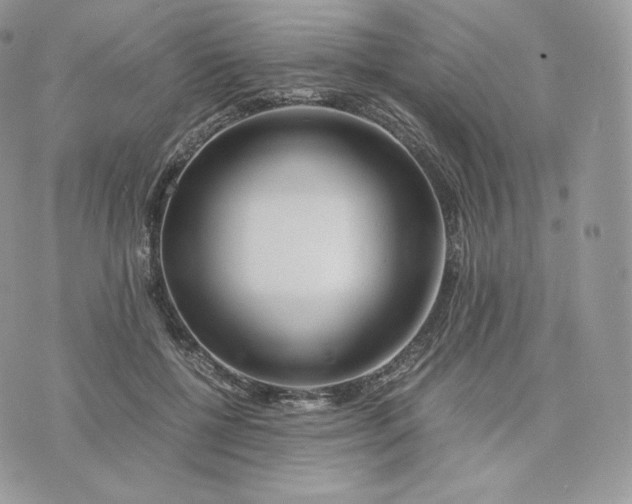 X0000075410552200609291709