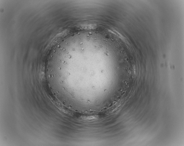 X0000075410553200609291709