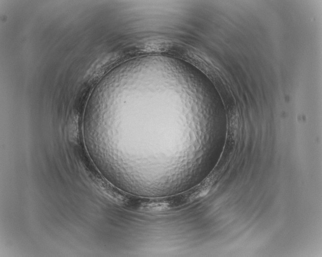 X0000075410554200609291709