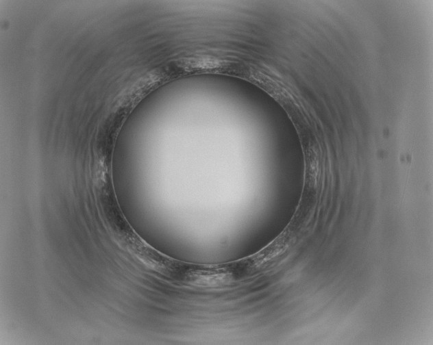 X0000075410555200609291709