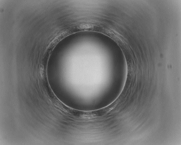 X0000075410556200609291709