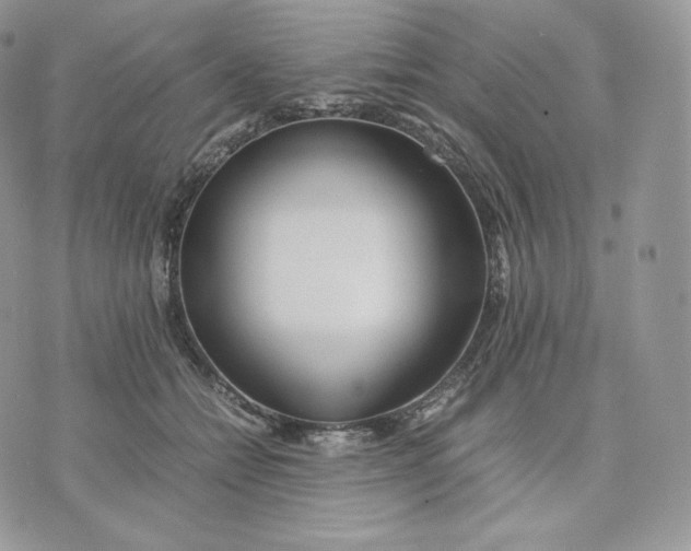 X0000075410558200609291709