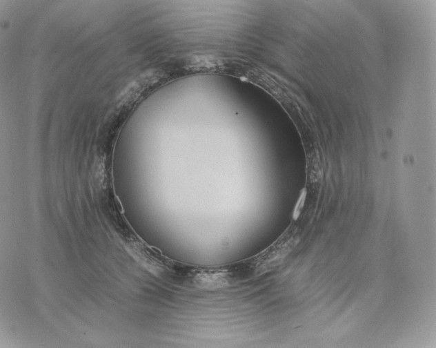 X0000075410560200609291709