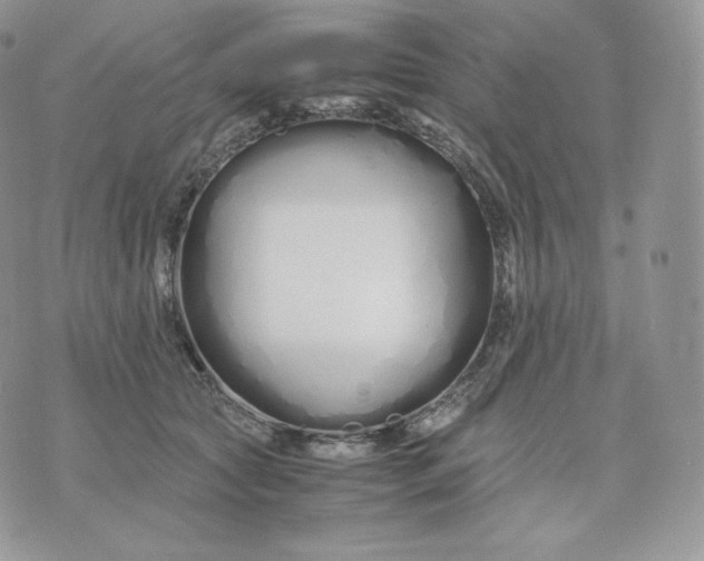 X0000075410561200609291709