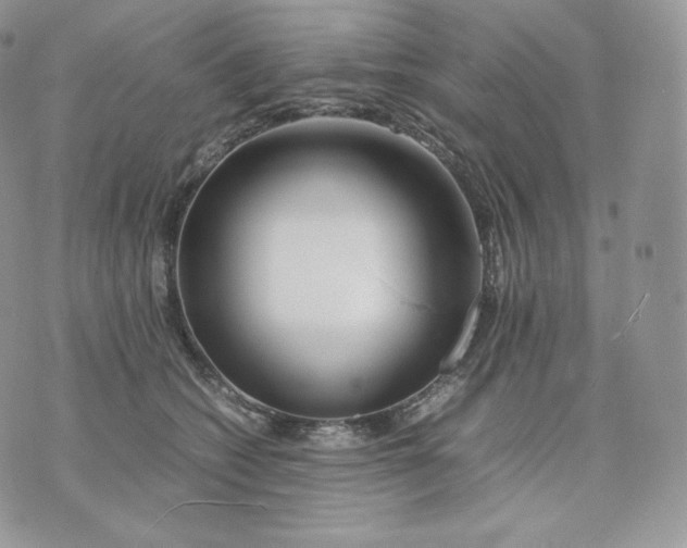 X0000075410562200609291709