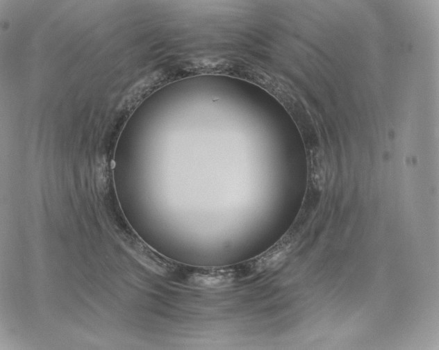 X0000075410563200609291709