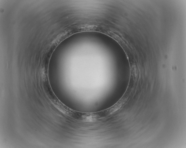 X0000075410564200609291709