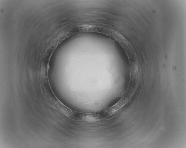 X0000075410565200609291709