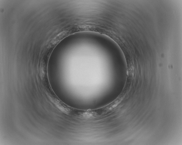 X0000075410566200609291709