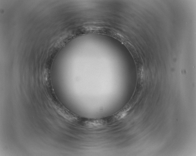 X0000075410567200609291709