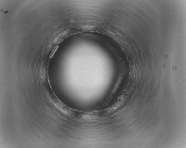 X0000075410568200609291709